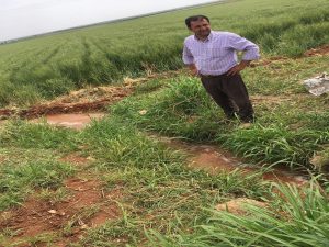 Pilavlık. Köftelik Bulgur Fabrikası